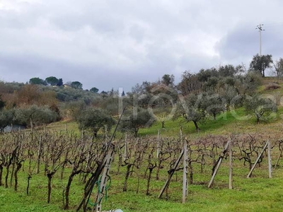 Terreno Agricolo in vendita a Lastra a Signa via Vecchia Pisana