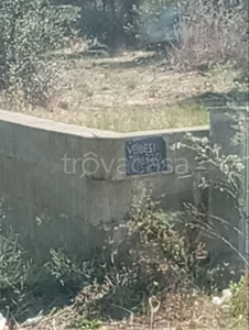 Terreno Agricolo in vendita a Lecce via del Trifoglio