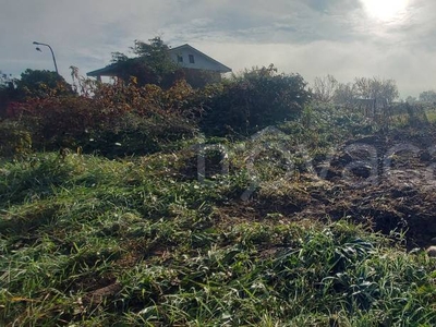 Terreno Agricolo in vendita a Leini via Volpiano, 240