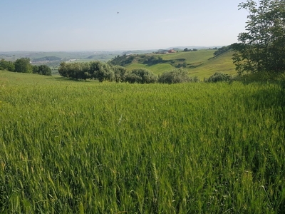 Terreno Agricolo in vendita a Mafalda