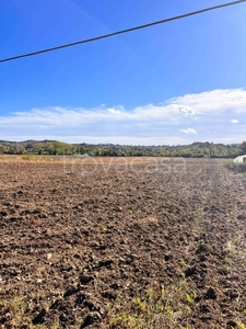 Terreno Agricolo in vendita a Magliano di Tenna via Tenna