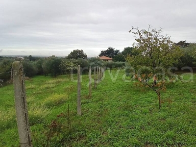 Terreno Agricolo in vendita a Marino via Castagnole di Sopra