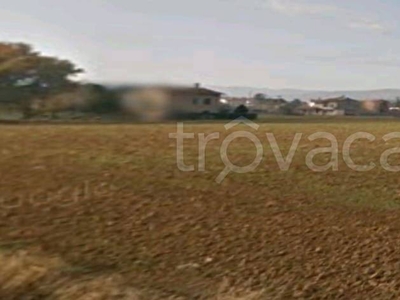 Terreno Agricolo in vendita a Marsciano strada Provinciale di Marsciano