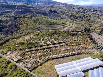 Terreno Agricolo in vendita a Mascali via Santa Venera