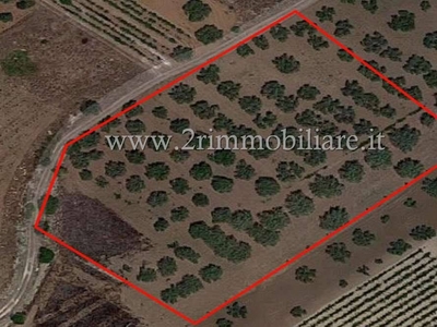 Terreno Agricolo in vendita a Mazara del Vallo via Renato Gattuso