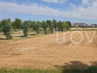 Terreno Agricolo in vendita a Mira via bastie