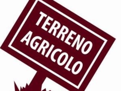 Terreno Agricolo in vendita a Mirano via zinelli