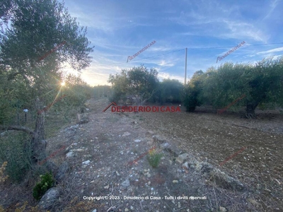 Terreno Agricolo in vendita a Misilmeri strada Provinciale della Traversa