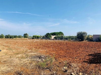 Terreno Agricolo in vendita a Mola di Bari strada Vicinale di Mezzo di Basso