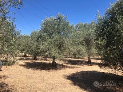 Terreno Agricolo in vendita a Monastir 09023 Monastir su, Italia