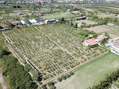 Terreno Agricolo in vendita a Monforte San Giorgio c.Da Brugazza - Fraz. Marina
