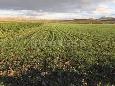 Terreno Agricolo in vendita a Monreale strada Statale di Gibellina