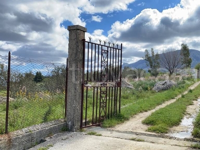 Terreno Agricolo in vendita a Monreale via m., 31