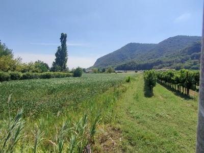Terreno Agricolo in vendita a Monselice via savellon retratto