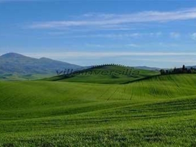 Terreno Agricolo in vendita a Montalcino unnamed Road,