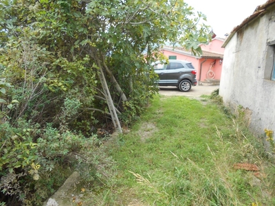 Terreno Agricolo in vendita a Monte Argentario