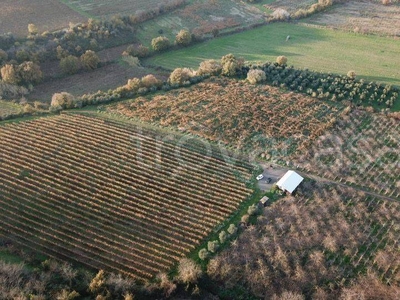 Terreno Agricolo in vendita a Monte Compatri via delle Marmorelle, 133