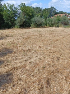 Terreno Agricolo in vendita a Monte Compatri via Mont'Est, 1F