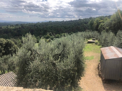 Terreno Agricolo in vendita a Monte San Savino strada Statale Senese Aretina