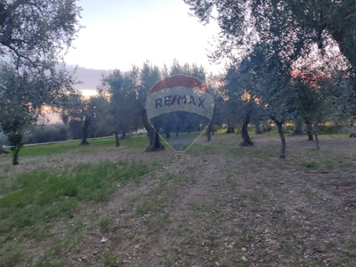 Terreno Agricolo in vendita a Monte Sant'Angelo via Carlo Pasqua, snc
