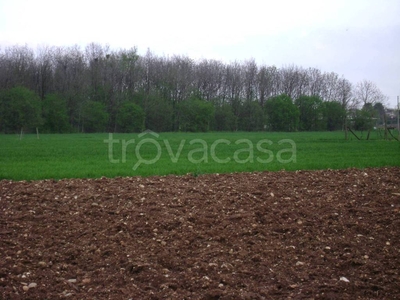 Terreno Agricolo in vendita a Montebelluna via Pracolin
