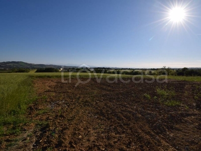 Terreno Agricolo in vendita a Montecosaro contrada Cavallino