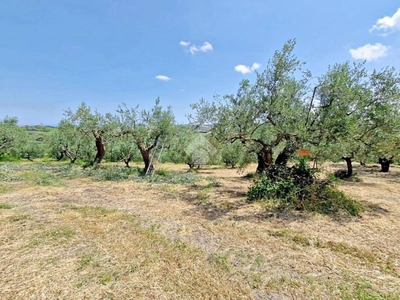 Terreno Agricolo in vendita a Montefiore Conca via roma