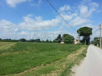 Terreno Agricolo in vendita a Montelibretti via dei Girasoli