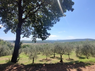 Terreno Agricolo in vendita a Monteriggioni la Chiocciola
