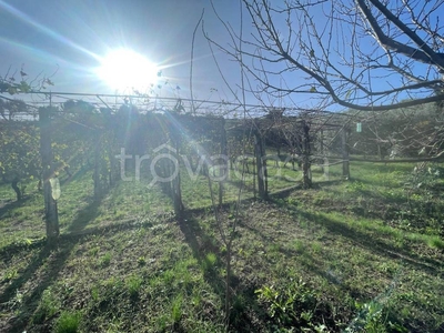 Terreno Agricolo in vendita a Monterotondo via di Vallagati