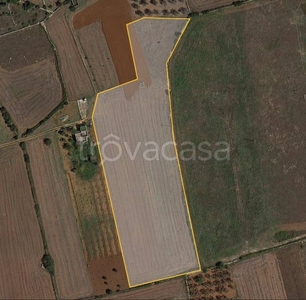 Terreno Agricolo in vendita a Montesano Salentino ss275