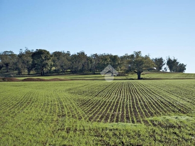 Terreno Agricolo in vendita a Monticello Conte Otto via Parmesana, 18