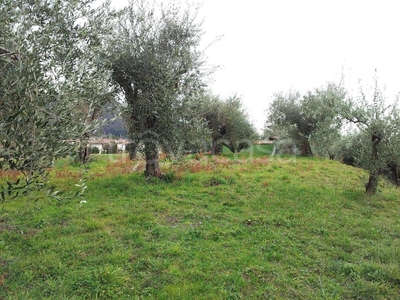 Terreno Agricolo in vendita a Montignoso via Acqualunga