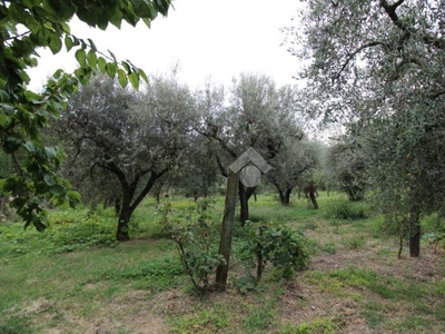 Terreno Agricolo in vendita a Montopoli di Sabina via paradiso