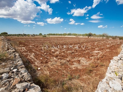Terreno Agricolo in vendita a Morciano di Leuca via Vereto