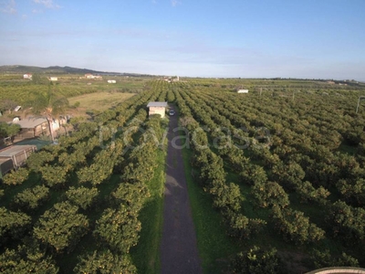 Terreno Agricolo in vendita a Motta Sant'Anastasia via delle Zagare, 6