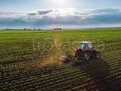 Terreno Agricolo in vendita a Musile di Piave via Millepertiche