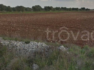 Terreno Agricolo in vendita a Nardò contrada Corigliano
