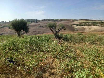 Terreno Agricolo in vendita a Naro