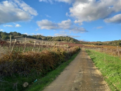 Terreno Agricolo in vendita a Naro