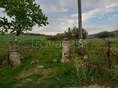 Terreno Agricolo in vendita a Naro