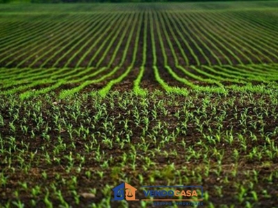 Terreno Agricolo in vendita a Narzole frazione San Nazario