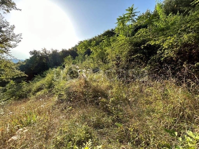 Terreno Agricolo in vendita a Negrar di Valpolicella via castelletto, 0