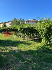 Terreno Agricolo in vendita a Negrar di Valpolicella via Corte Cresteni