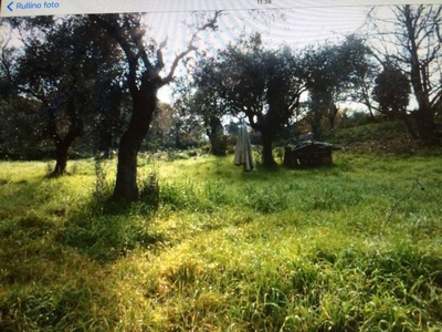 Terreno Agricolo in vendita a Nepi via Umiltà