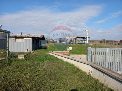 Terreno Agricolo in vendita a Nettuno via Acciarella, 133