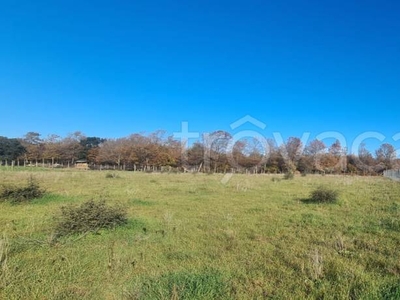 Terreno Agricolo in vendita a Nettuno via Corato, 1