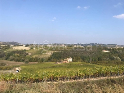 Terreno Agricolo in vendita a Nizza Monferrato regione Croci