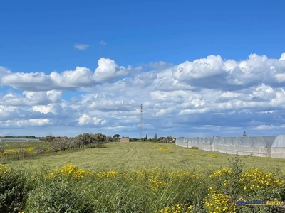 Terreno Agricolo in vendita a Noto c.Da Burgio