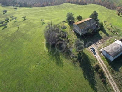 Terreno Agricolo in vendita a Offida contrada Tesino, 185